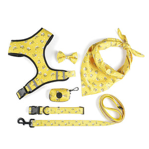 Elevate Your Pet's Style with Our Harness and Leash Set