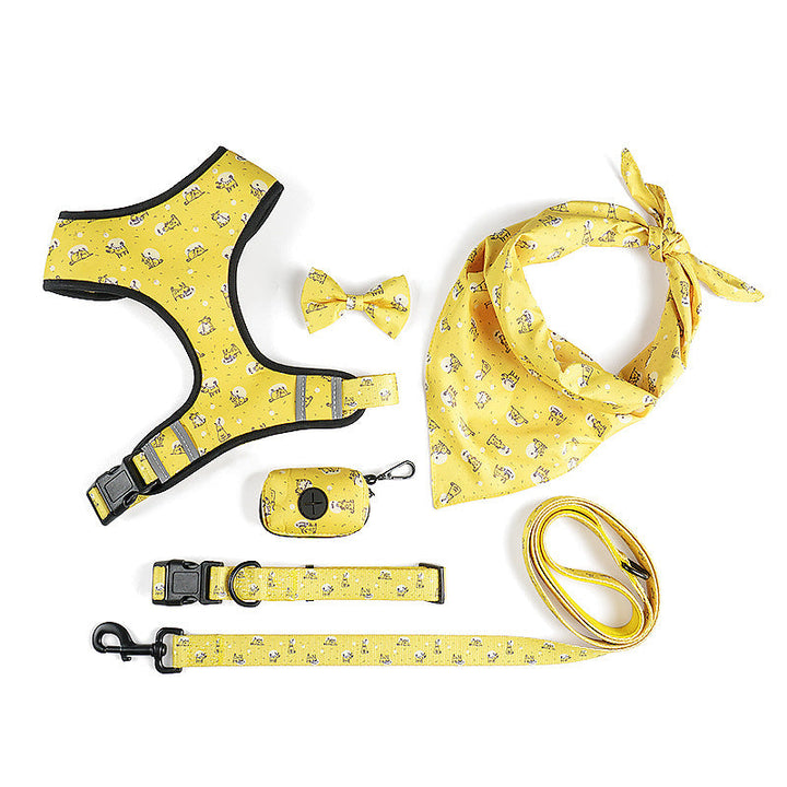 Elevate Your Pet's Style with Our Harness and Leash Set