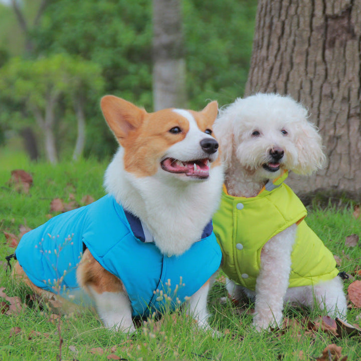 Protect Your Furry Friend with Our Thickened Waterproof Outdoor Pet Jacket