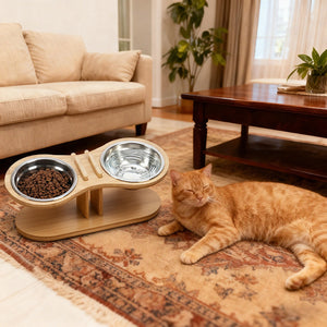 Elevate Your Pet's Dining Experience