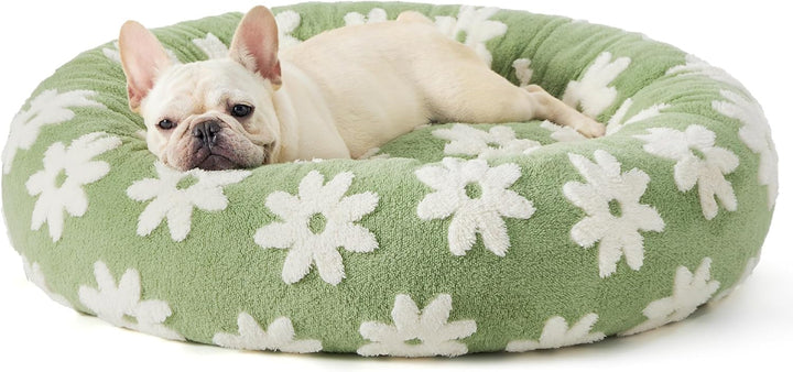 The Perfect Cozy Retreat for Your Furry Friend